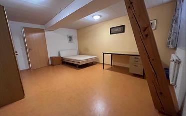 Shop 7.5 rooms - image - 8