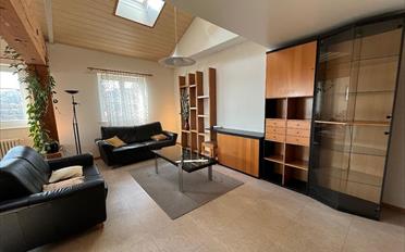 Shop 7.5 rooms - image - 9