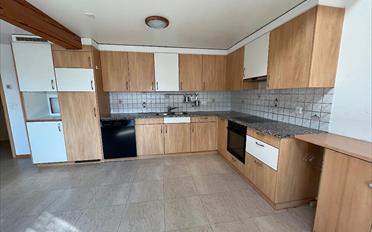 Shop 7.5 rooms - image - 11