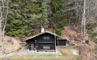 Chalet 3.5 Zimmer - image - 1