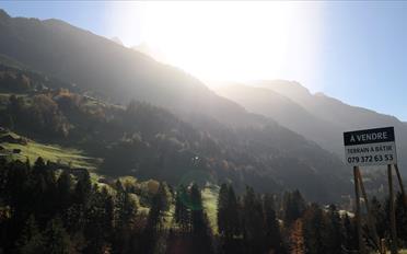 Bauland - image - 2