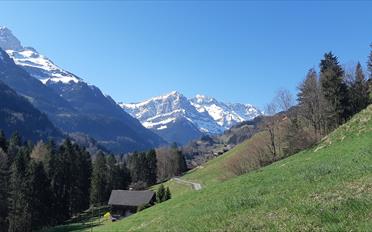 Bauland - image - 3