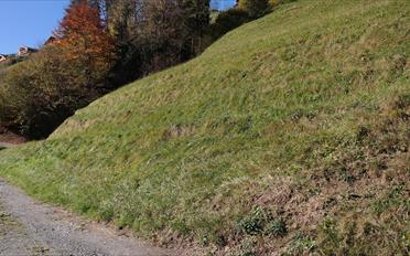 Bauland - image - 4