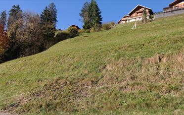 Bauland - image - 5