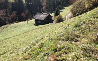 Bauland - image - 6