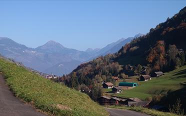 Bauland - image - 7
