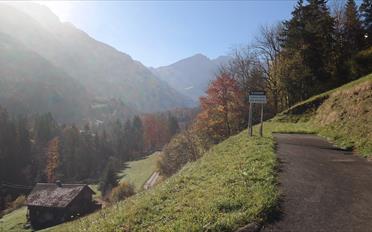 Bauland - image - 8