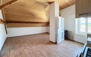 Wohnung 2.5 Zimmer - image - 1