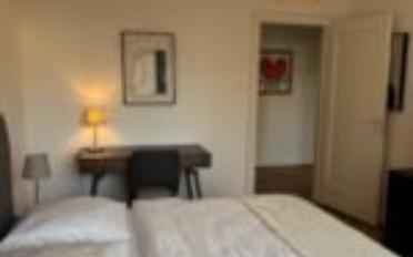 Appartement meublé 1.5 pièces - image - 4