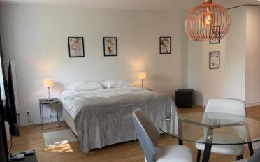 Apartment 1 room - image - 2