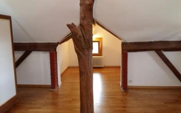 Appartement 5.5 pièces - image - 4