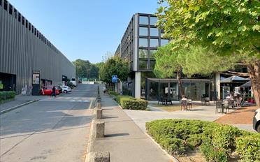 Office - image - 1