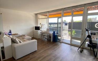 Appartement 1.5 pièces - image - 3