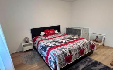 Single house 6.5 rooms - image - 7