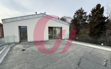 Duplex 5.5 rooms - image - 5