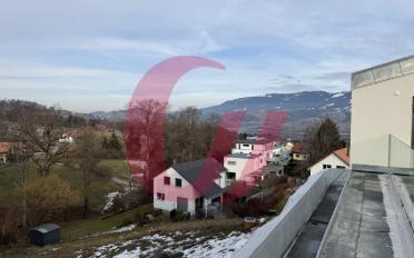 Duplex 5.5 Zimmer - image - 2