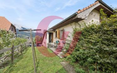 Einfamilienhaus 4.5 Zimmer - image - 3