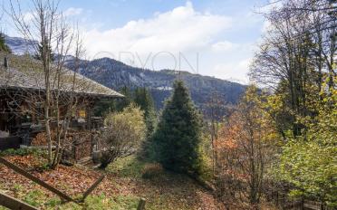 Chalet 6 rooms - image - 2