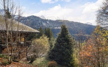 Chalet 6 rooms - image - 3