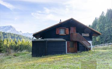 Chalet 7 rooms - image - 7