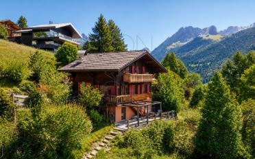 Chalet 8 rooms - image - 2