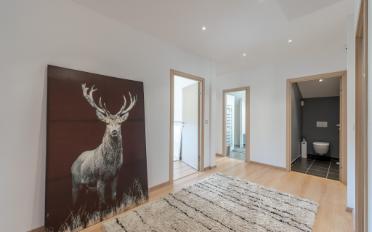 Maison terrasse - image - 6