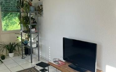 Appartement 4.5 pièces - image - 2