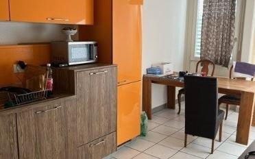 Appartement 4.5 pièces - image - 4