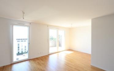 Wohnung 2.5 Zimmer - image - 3