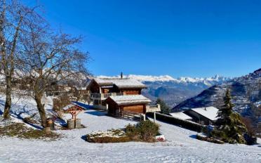 Chalet 6.5 pièces - image - 3