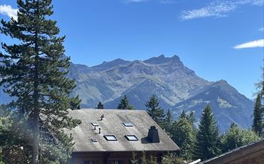 Chalet 9 rooms - image - 27
