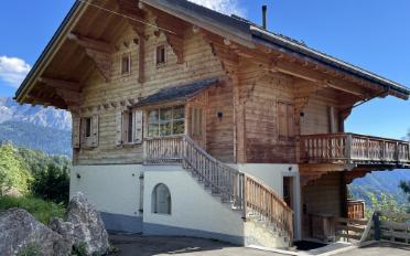 Chalet 7 Zimmer - image - 3