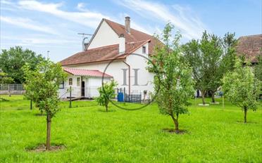 Einfamilienhaus 4.5 Zimmer - image - 1