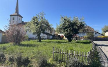 Maison 5.5 pièces - image - 5