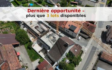 Duplex 2.5 pièces - image - 6