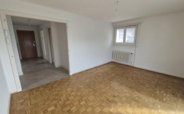 Apartment - image - 5