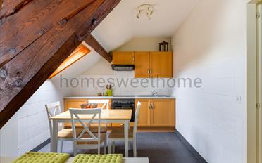 Appartement meublé 1.5 pièces - image - 4