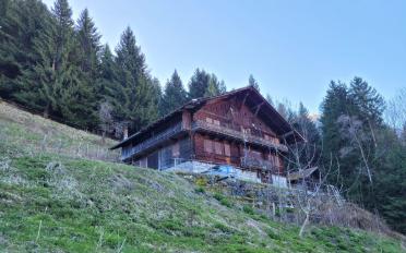Chalet 6 rooms - image - 3
