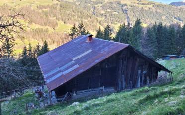 Chalet 6 rooms - image - 6