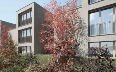 Villa 3 rooms - image - 8