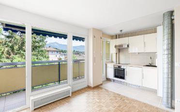 Apartment 1 room - image - 5