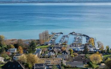 Appartement 4.5 pièces - image - 5