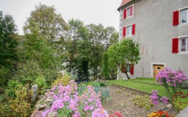 Wohnung 3.5 Zimmer - image - 11