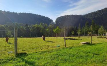 Apartment 1.5 rooms - image - 11