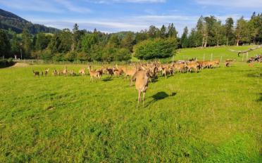 Apartment 1.5 rooms - image - 12