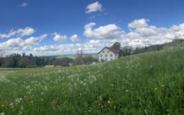 Apartment 2.5 rooms - image - 6