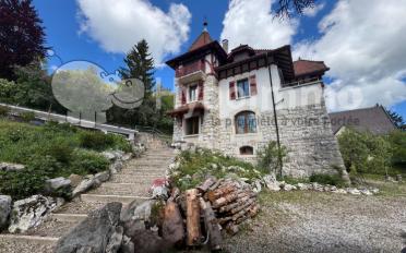 Einfamilienhaus 9 Zimmer - image - 1