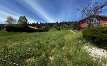 Bauland - image - 4