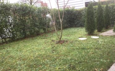 Wohnung 5 Zimmer - image - 12