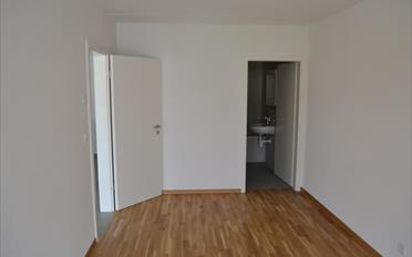 Apartment 2.5 rooms - image - 6